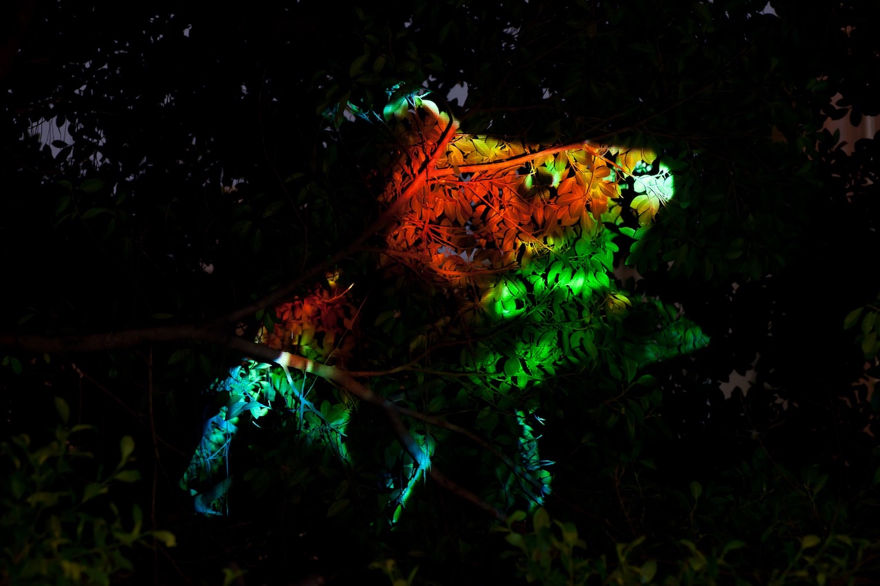 《Goldfish》2010年、樹木に映像投影、サイレント/Photo: Chang-Chih Chen