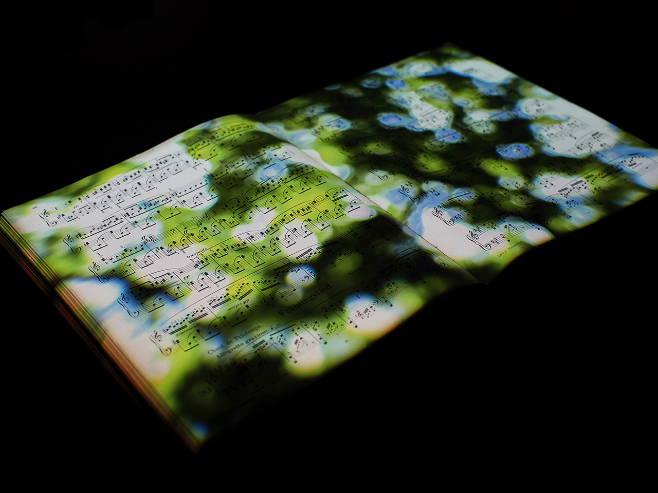 《光の曝書(メンデルスゾーンの楽譜)》朝香宮家旧蔵の楽譜に映像投影、サイレント/
Photo: Mie Morimoto