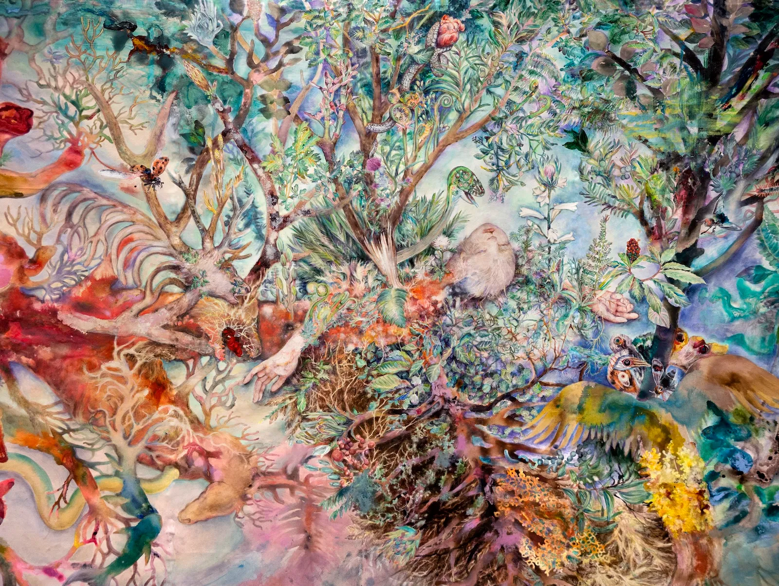 展示作品《胞衣》の一部